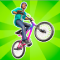 BMX特技大师3D游戏(BMX tricks master 3d)