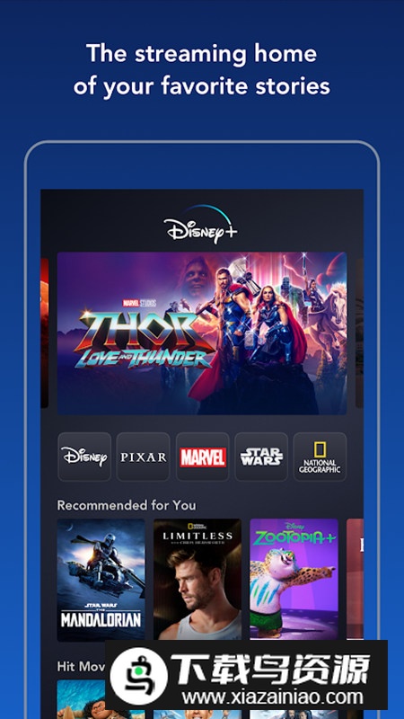 Disney+迪士尼国际版app截图1