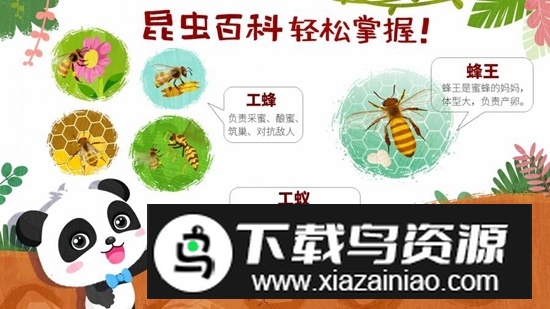 宝宝巴士奇妙昆虫世界最新版截图4
