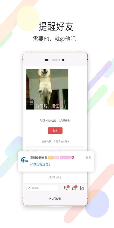 高明论坛网截图5