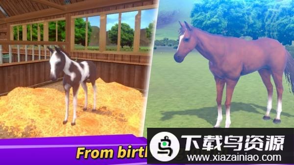 德比生活手游(Derby Life)最新版截图1