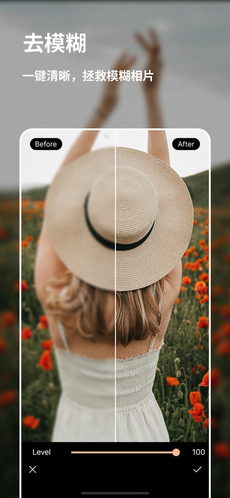 相片大师2025AI智能版(PhotoDirector)截图2
