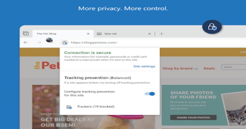 Edge Canary浏览器截图
