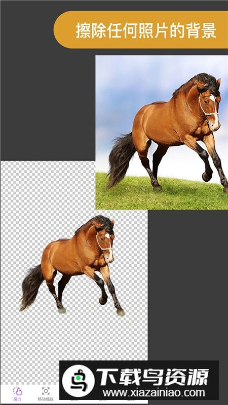 ProKnockout智能抠图P图手机版截图2