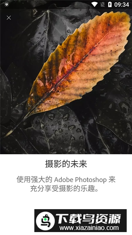 lightroom安卓10去广告版(lightroom免序列号版)截图3