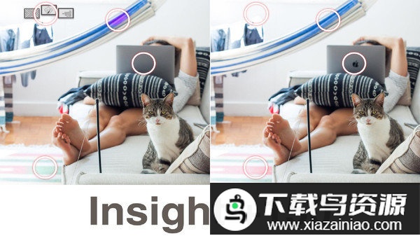 洞察之王游戏最新版截图1