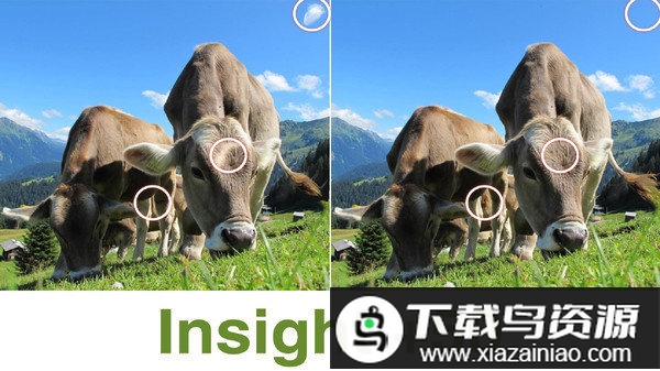 洞察之王游戏最新版截图2