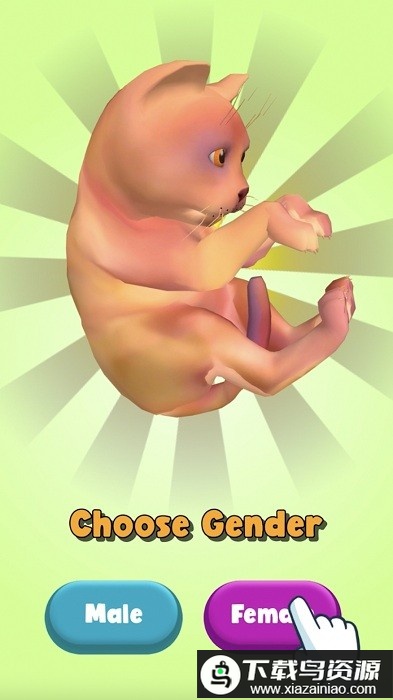 猫生活模拟器游戏最新版截图2