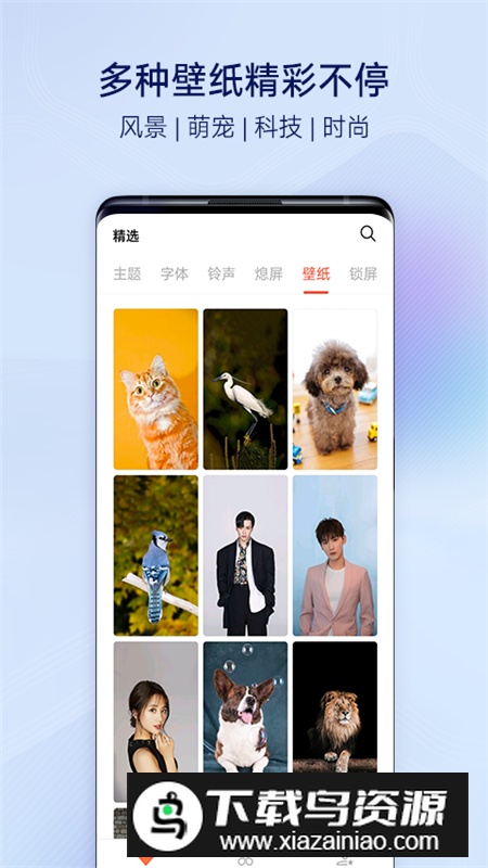 i 主题(vivoiqoo主题安卓版软件)截图4