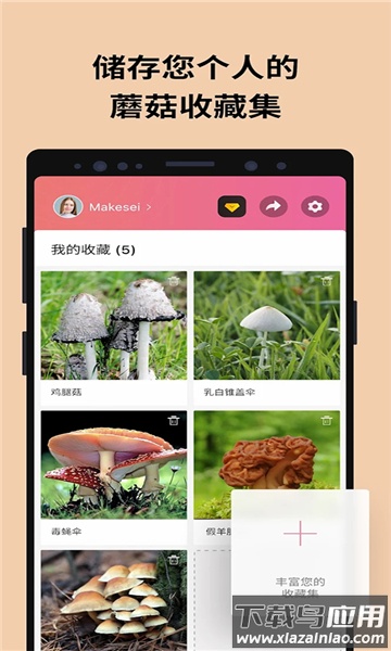 蘑菇识别助手(Picture Mushroom)最新版截图2