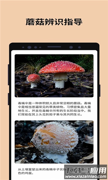 蘑菇识别助手(Picture Mushroom)最新版截图3