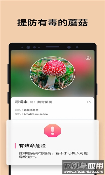 蘑菇识别助手(Picture Mushroom)最新版截图4