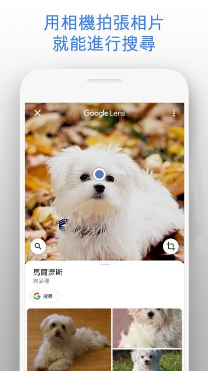 google搜索最新版本截图1