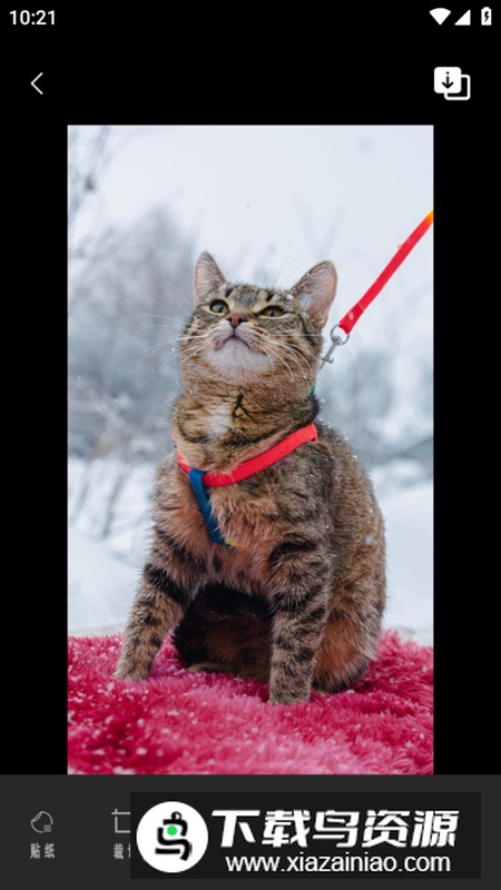 一键修图p图相机app安卓最新版最新版截图4