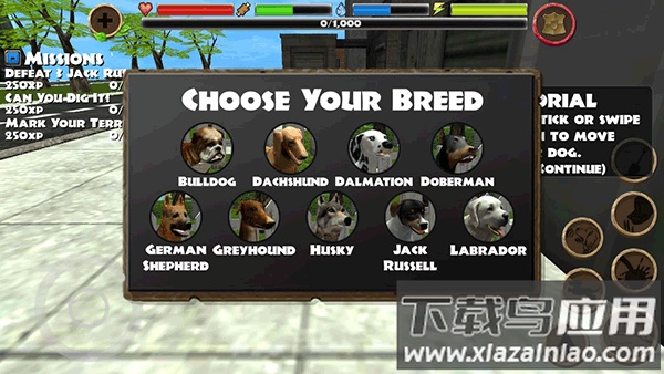 流浪狗模拟器最新版截图3