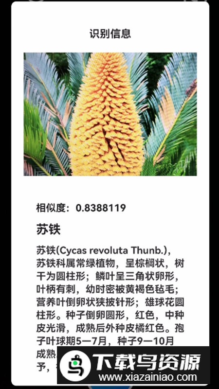 君子兰宝匣app安卓版最新版截图4