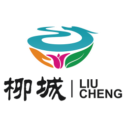 柳城声声通官方版