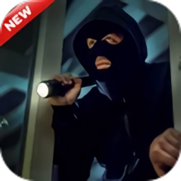 宝石大盗模拟器游戏