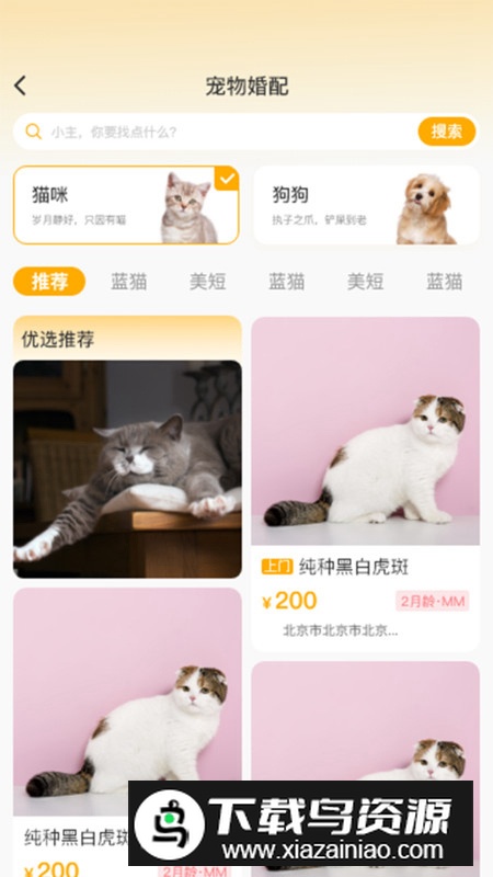 喵鑫球宠物app手机最新版最新版截图5