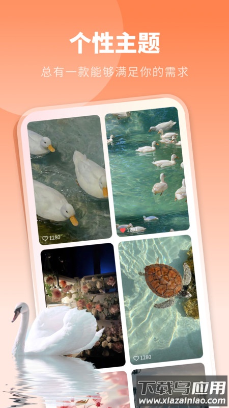 酷琪壁纸APP最新版截图2