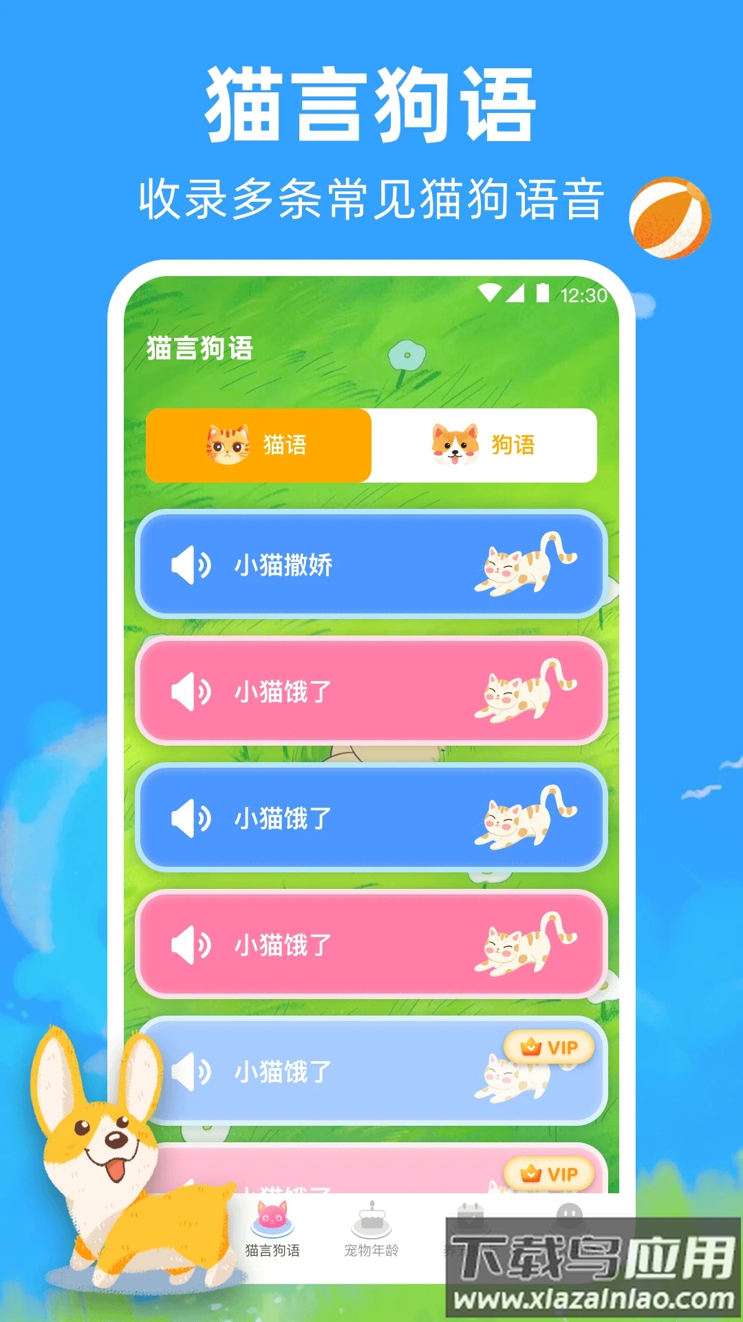 宠物猫咪翻译器免费截图2