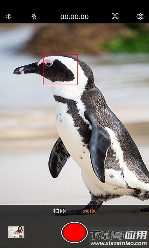 爱随拍app最新版截图2