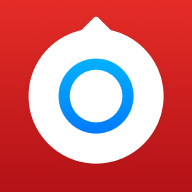 小决定转盘中文版正版