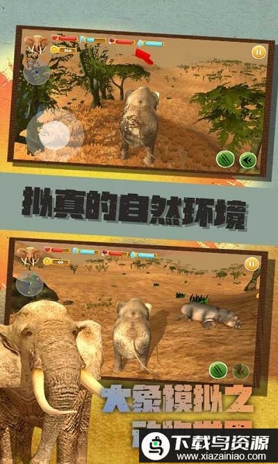 大象模拟之动物世界破解版最新版截图1