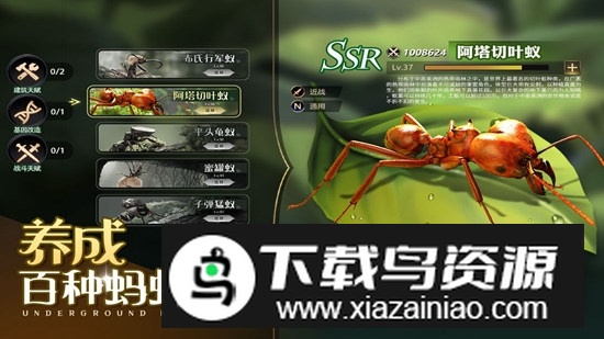 小小蚁国更新版升级版截图5