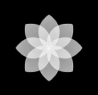 oppo息屏apk提取版安装包