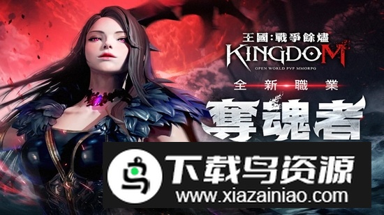 王国Kingdom台服安装包谷歌版截图1