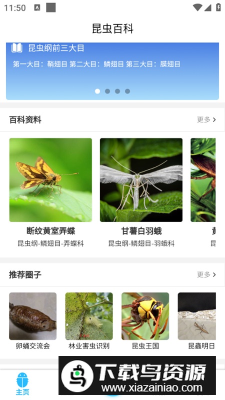 昆虫百科app手机客户端最新版截图3
