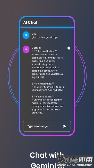 google Gemini最新版下载截图4