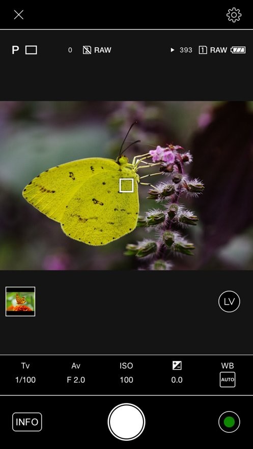 image sync手机版最新版截图3