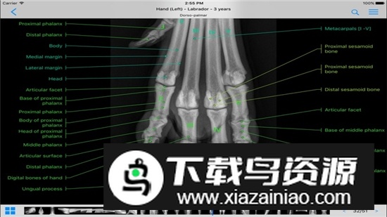 vet-Anatomy动物3d解剖软件安卓手机版截图1