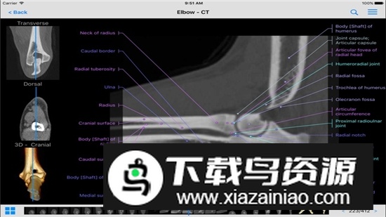 vet-Anatomy动物3d解剖软件安卓手机版截图3