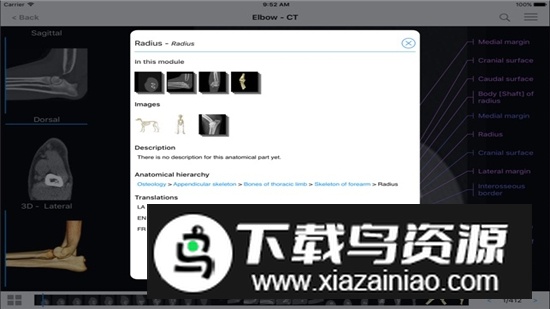 vet-Anatomy动物3d解剖软件安卓手机版截图4