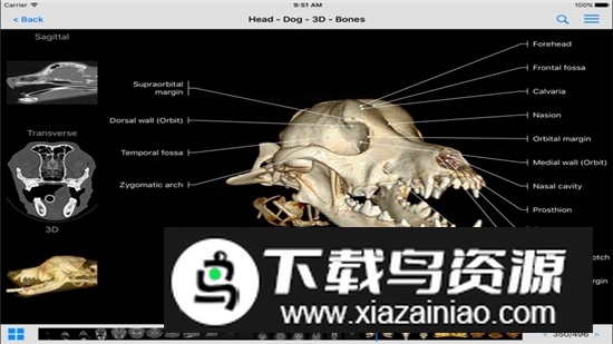 vet-Anatomy动物3d解剖软件安卓手机版截图5