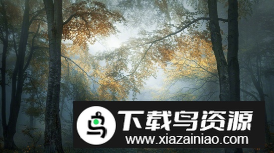 Sony Photography Pro索尼相机软件官方版截图1