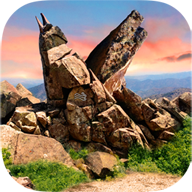 潘莫菲亚觉醒下载Panmorphia