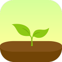 Forest专注森林专业版官方客户端