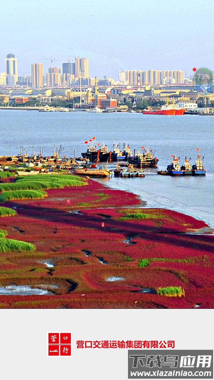 营口行公交车路线下载截图3