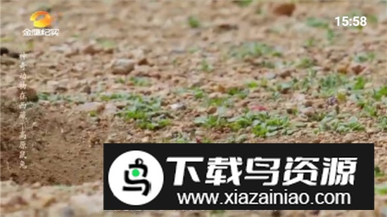 七星电视2025最新版无广告版最新版截图4