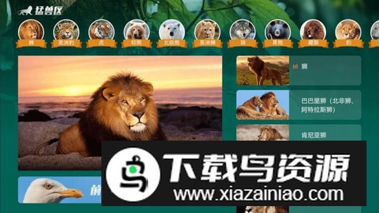 探奇动物界电视版app官方版最新版截图1