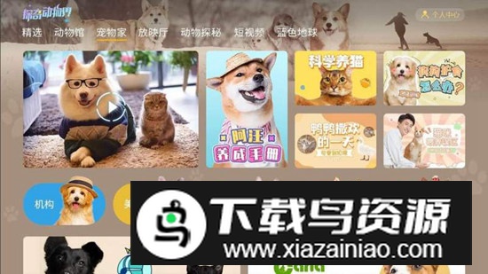 探奇动物界电视版app官方版最新版截图3