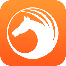 天马浏览器官方安卓版