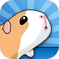 GUINEA PIG BRIDGE豚鼠桥官方正版