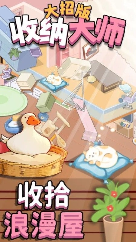 收纳大师大招版免广告版截图2