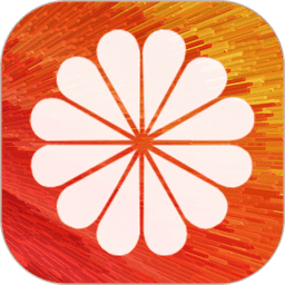 diy动态壁纸大全app(又名全局动态壁纸)