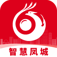 智慧凤城app下载官方